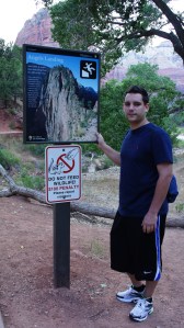 Ang bij het begin van de trail