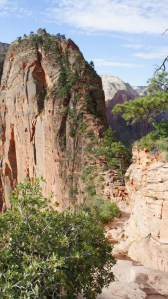 Angel's landing trail