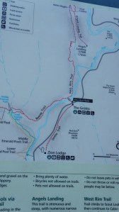 Angel's Landing Trail