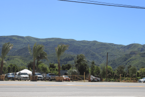 De omgeving is echt mooi